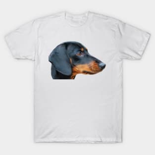 Dachsund T-Shirt